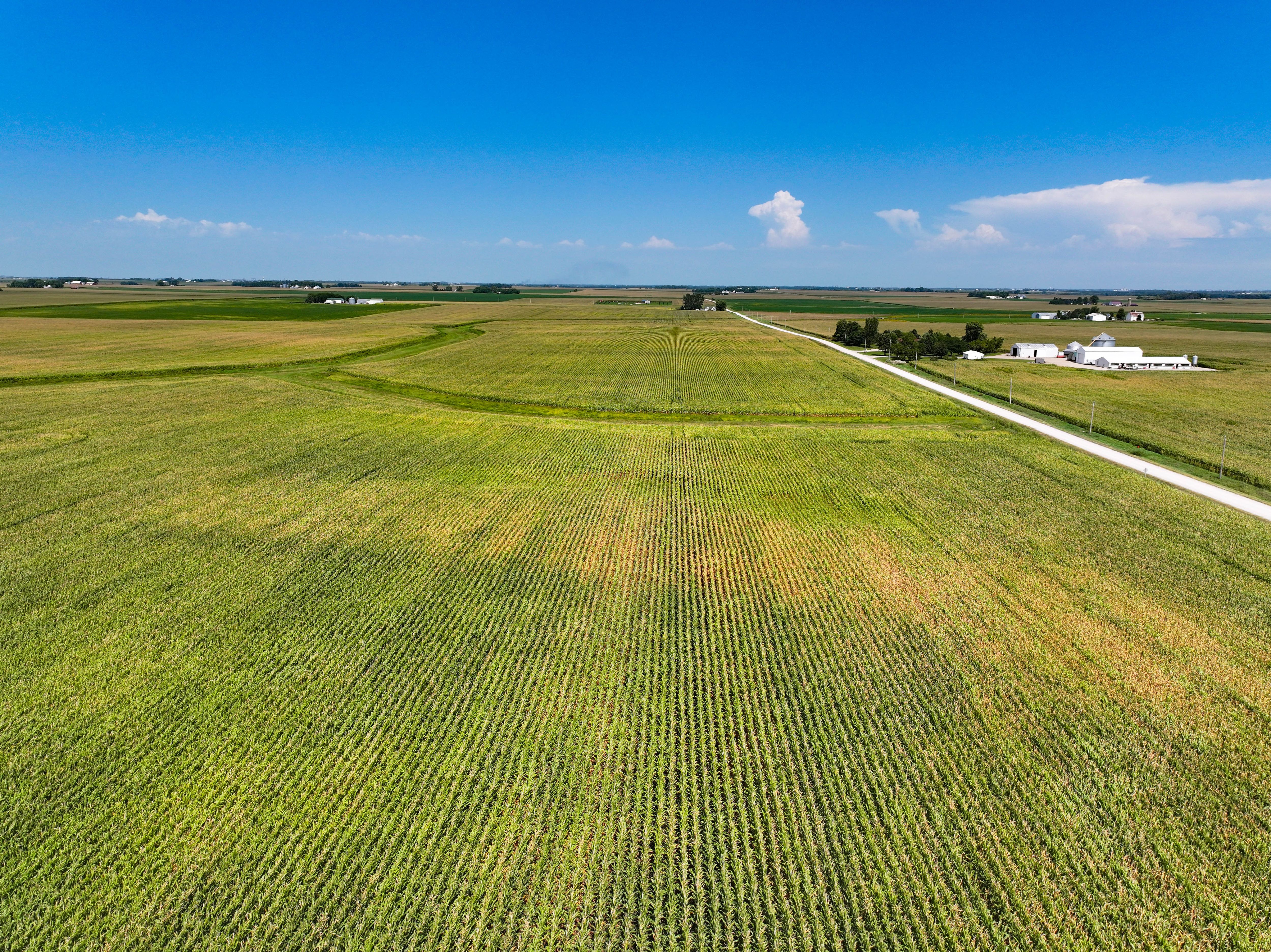 Listing Photo: 12_Black Hawk Co Iowa Farmland For Sale